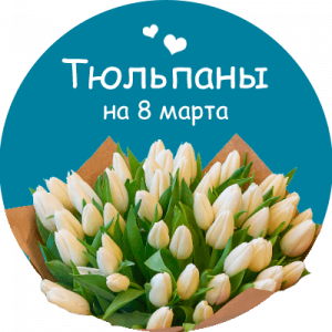 Купить тюльпаны в Болохово
